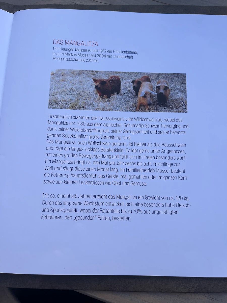 Speisekarte photo 10