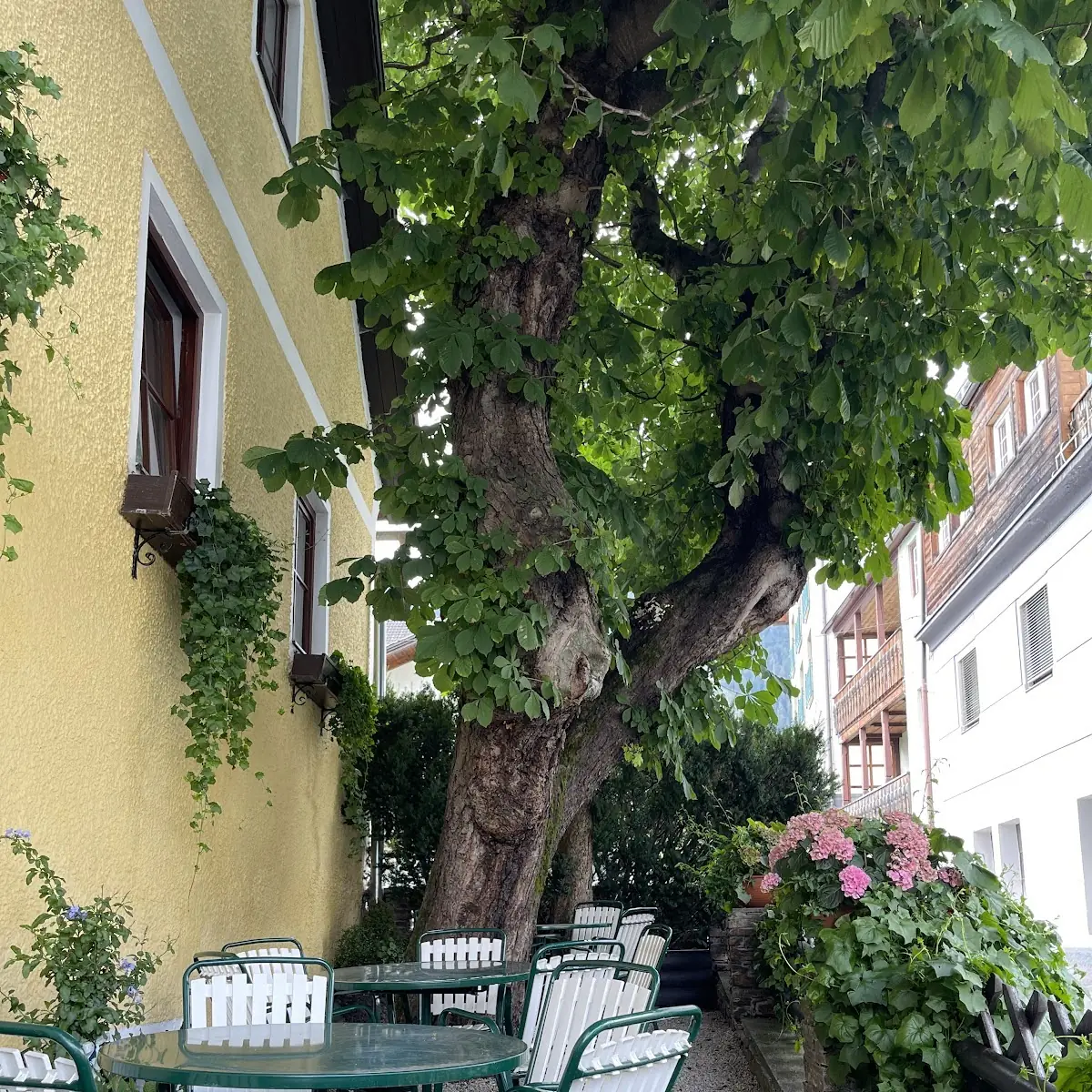 Atmosphäre photo 2