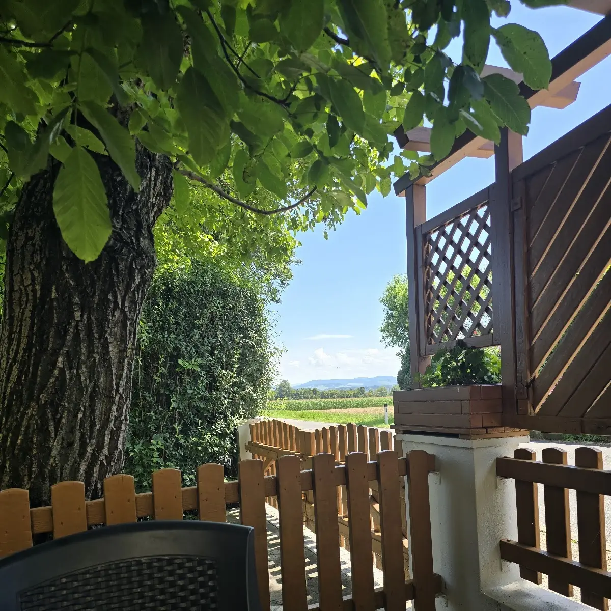 Atmosphäre photo 3