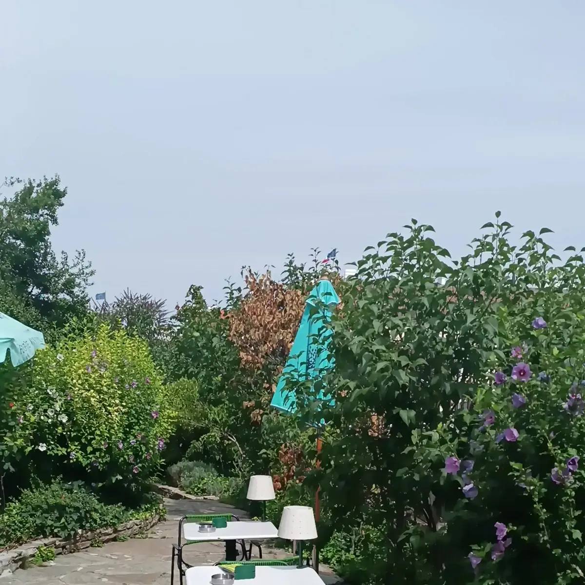 Atmosphäre photo 2