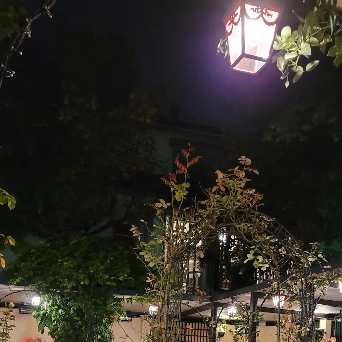 Atmosphäre photo 8