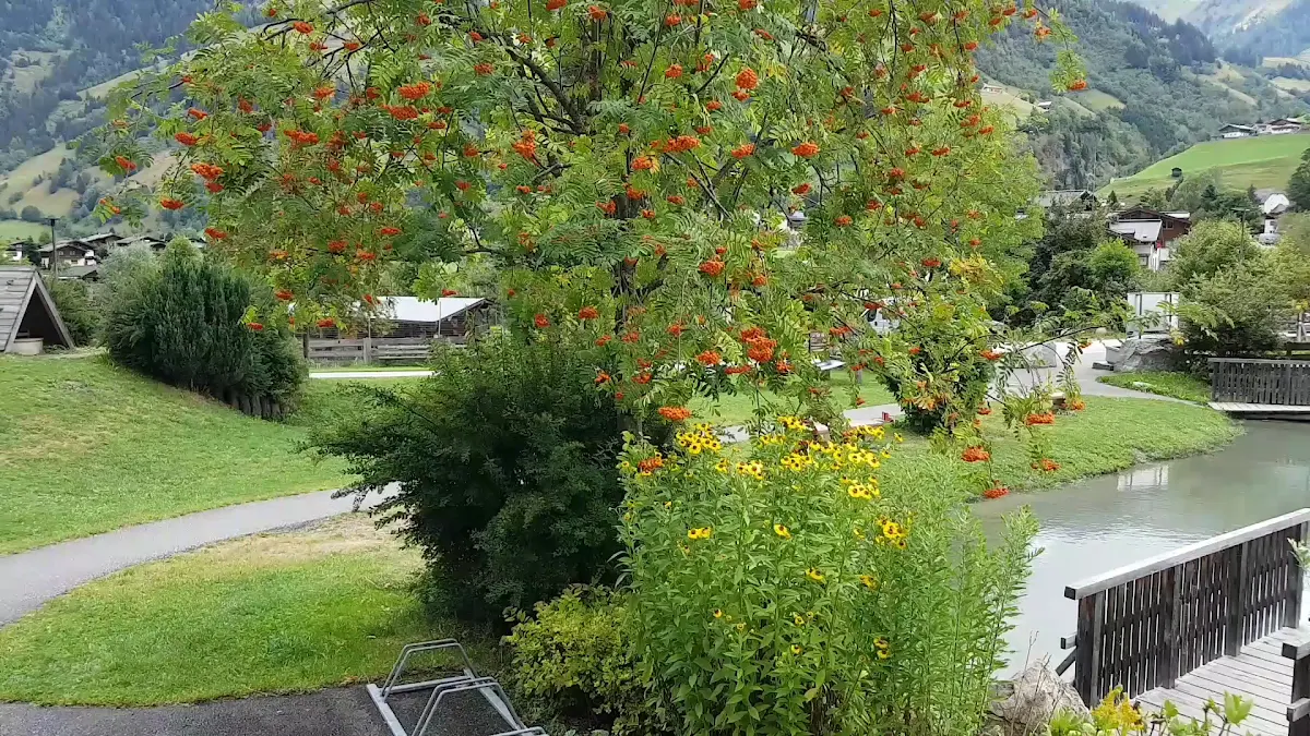 Atmosphäre photo 2