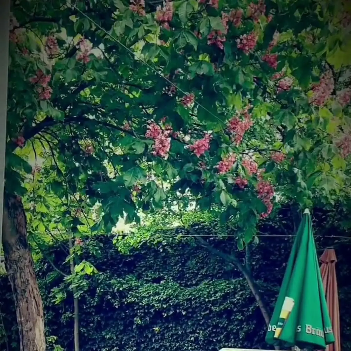 Atmosphäre photo 2