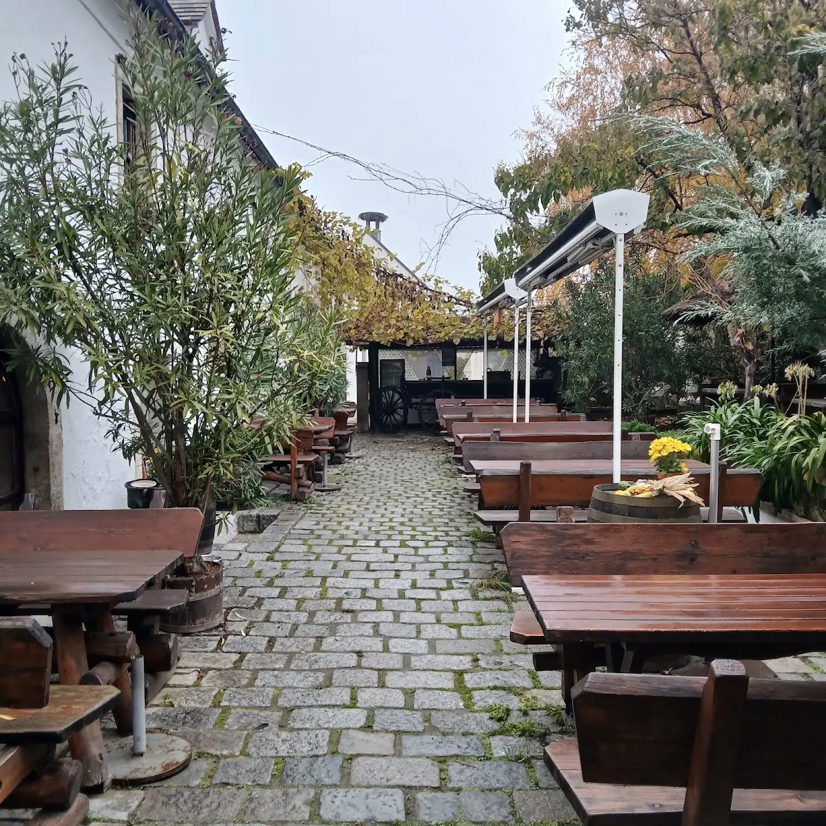 Atmosphäre photo 6