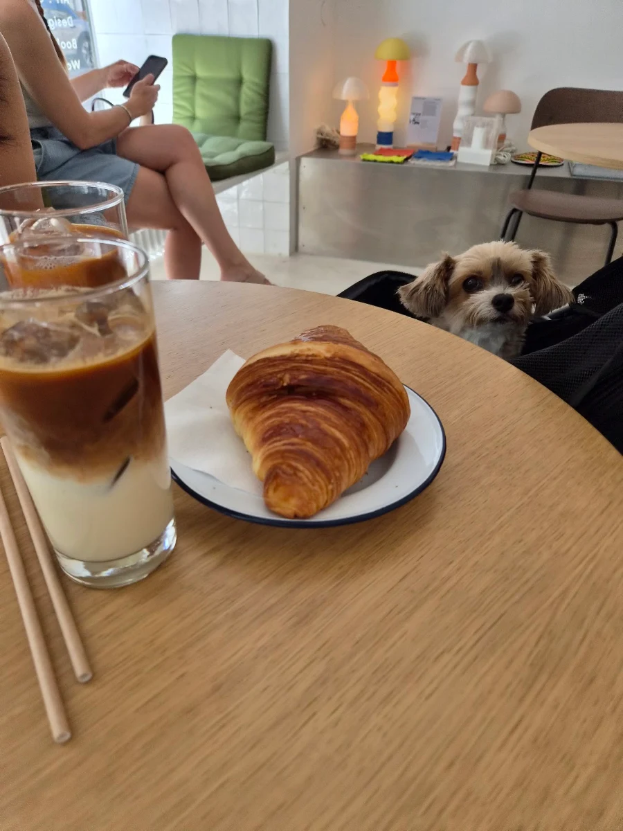 Essen und Trinken photo 8