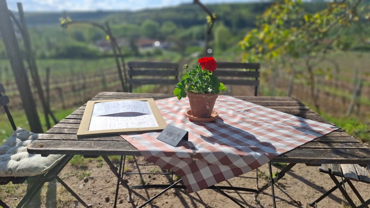 Weingut & Heuriger Baumgartner Titelbild