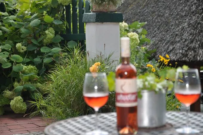 Essen und Trinken photo 8