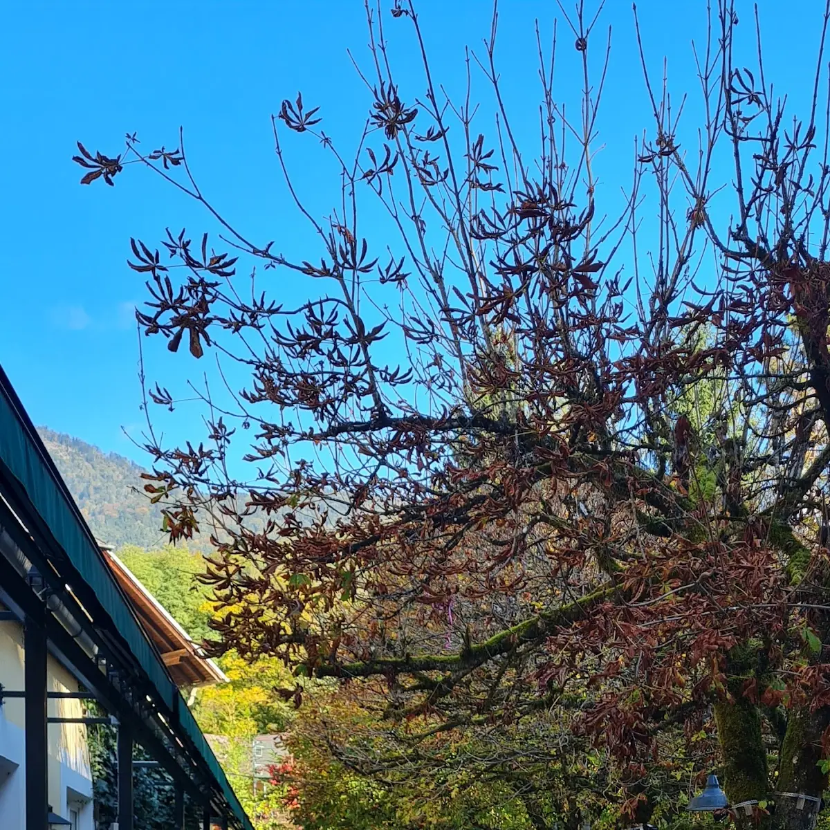 Atmosphäre photo 9