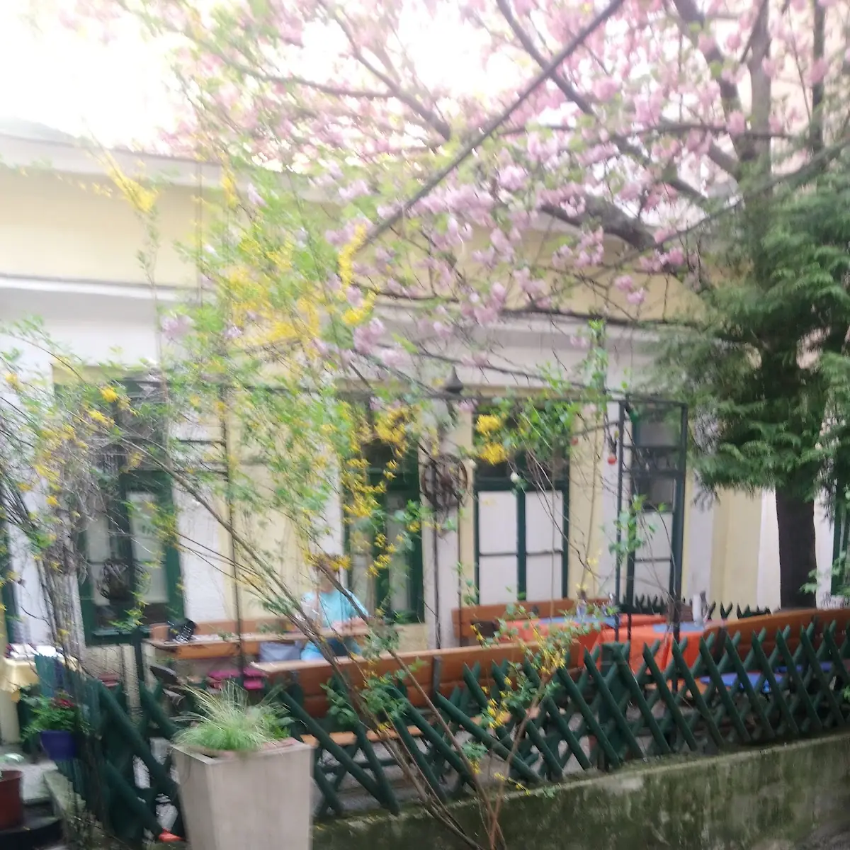 Atmosphäre photo 9