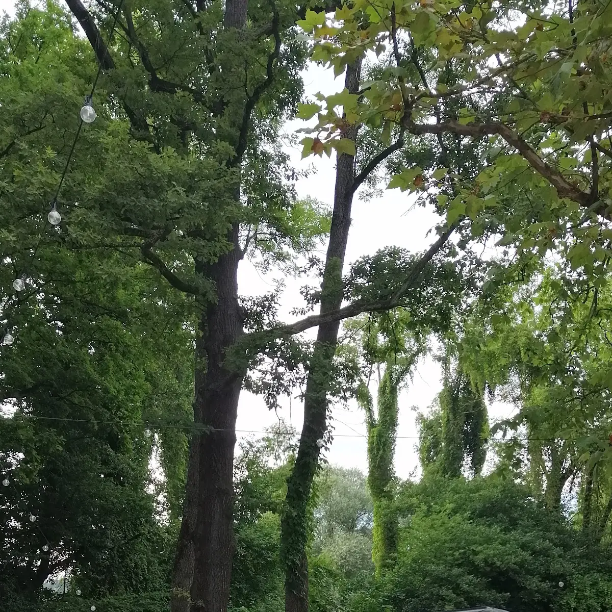 Atmosphäre photo 4