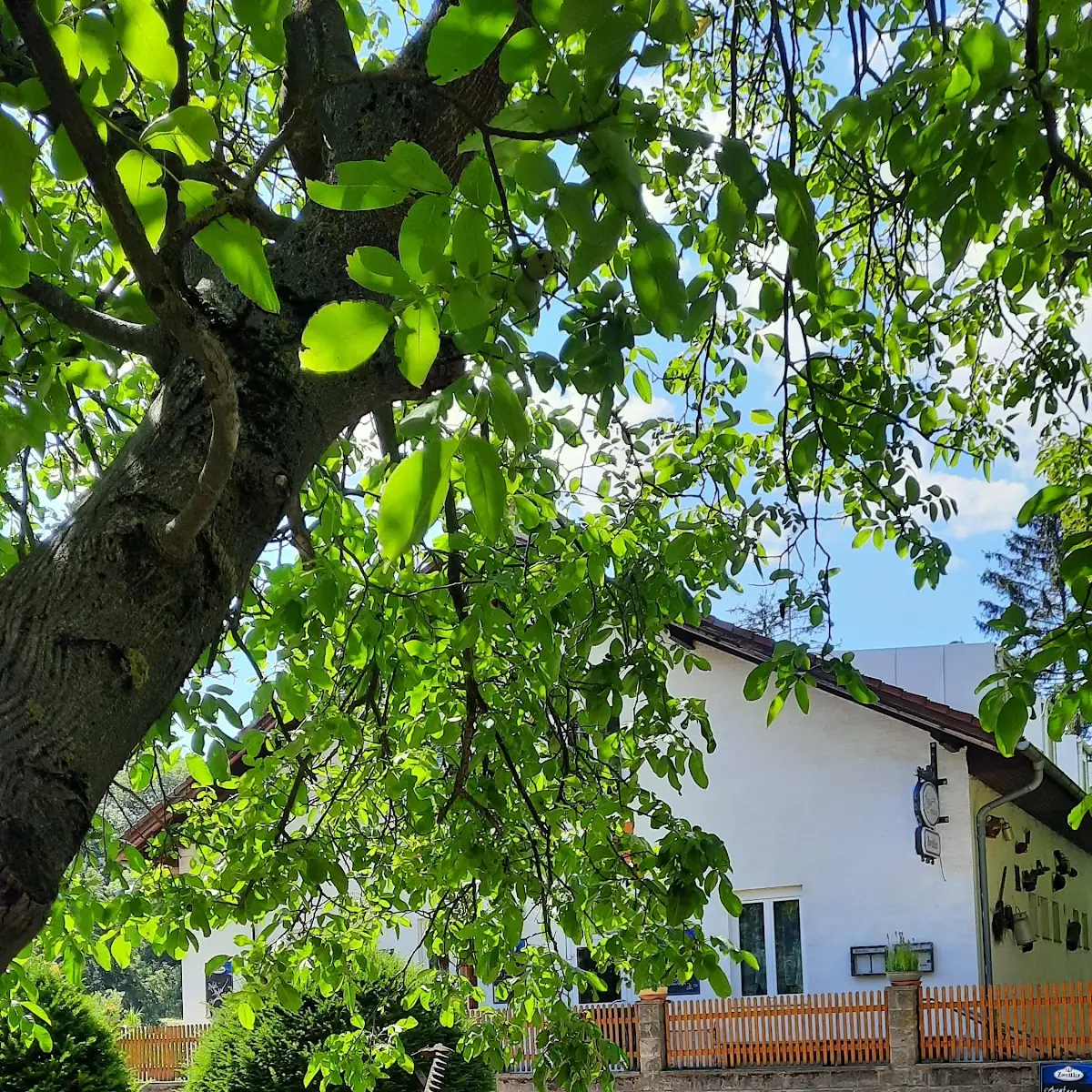 Atmosphäre photo 7