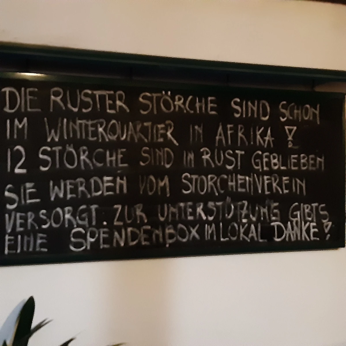Speisekarte photo 10
