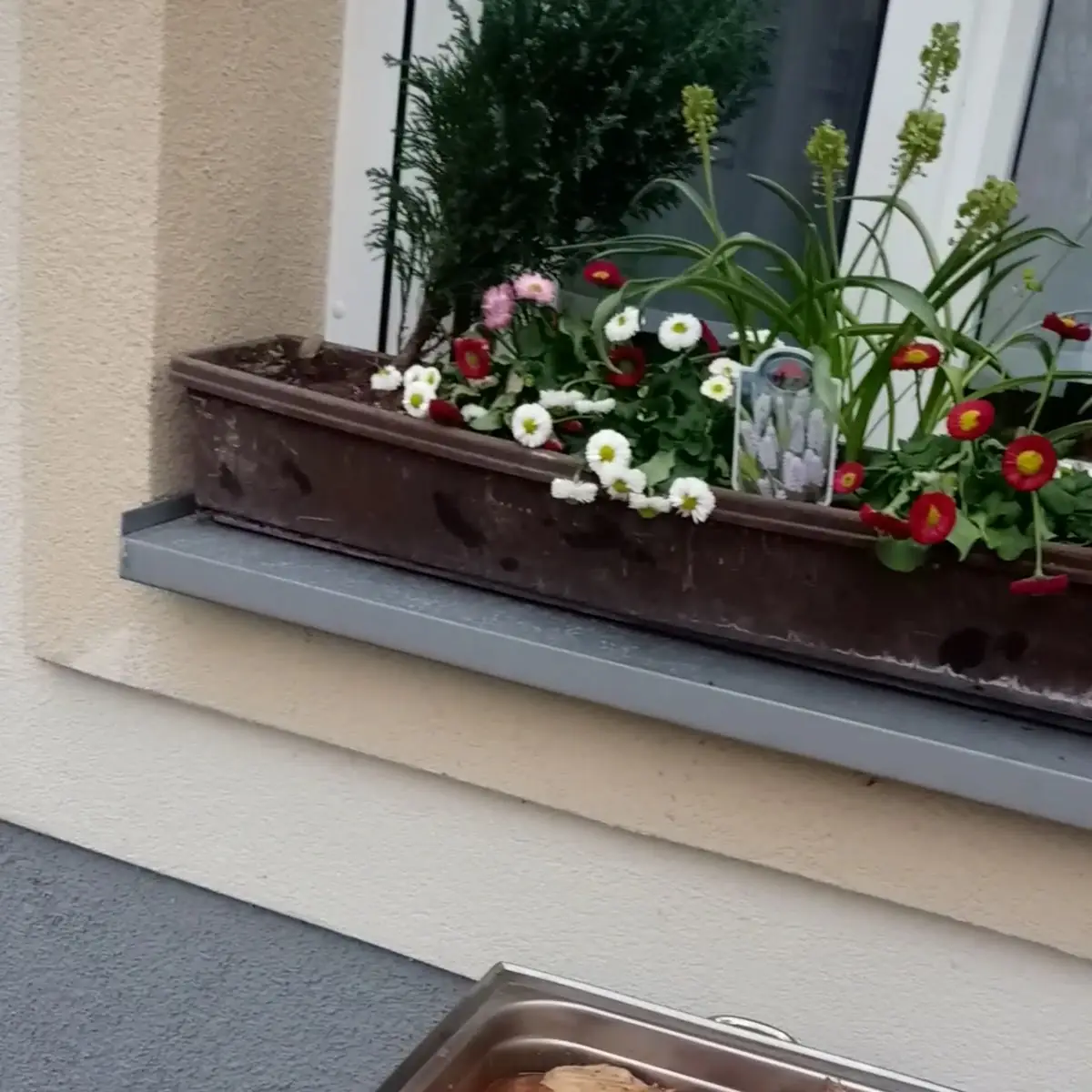 Essen und Trinken photo 1