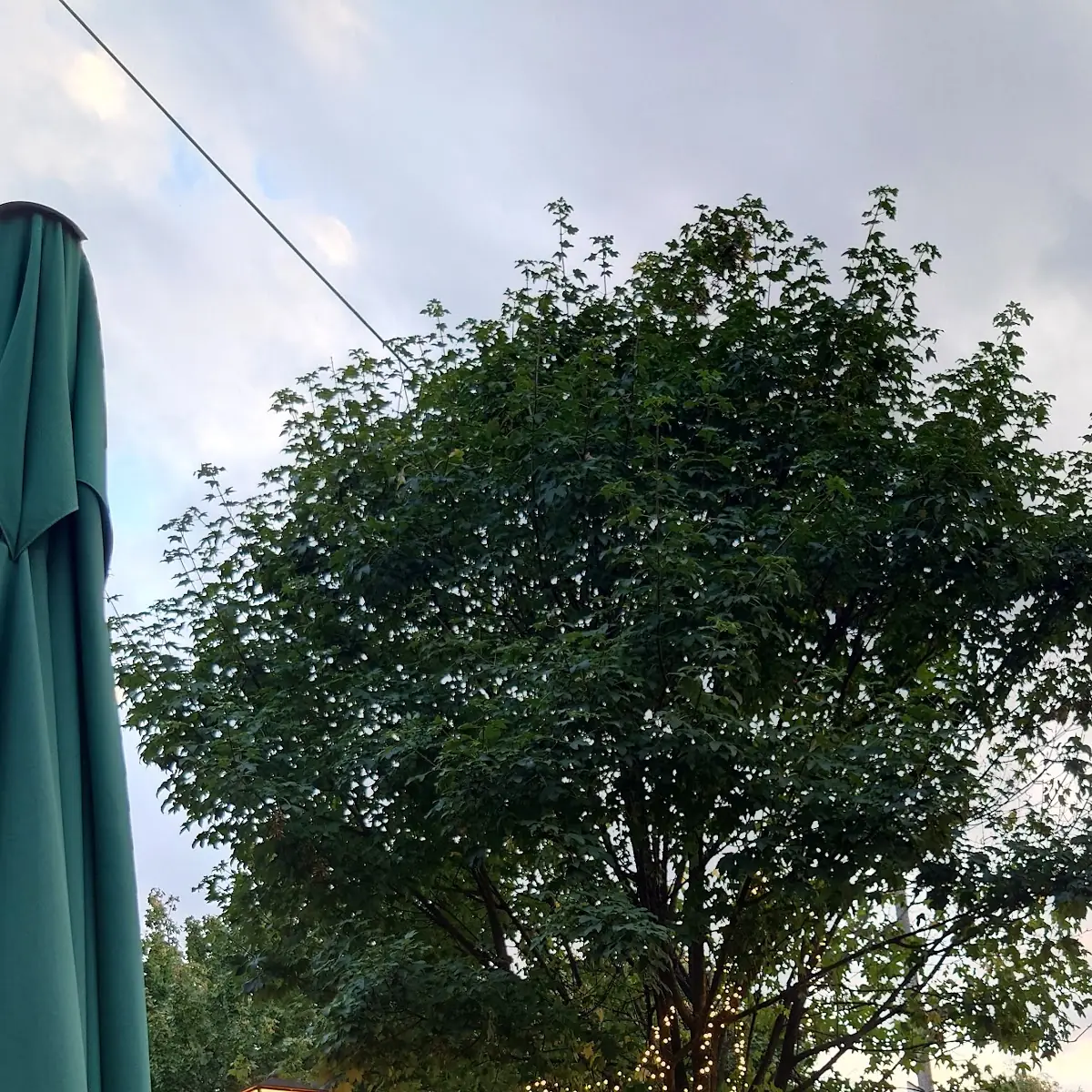 Atmosphäre photo 3