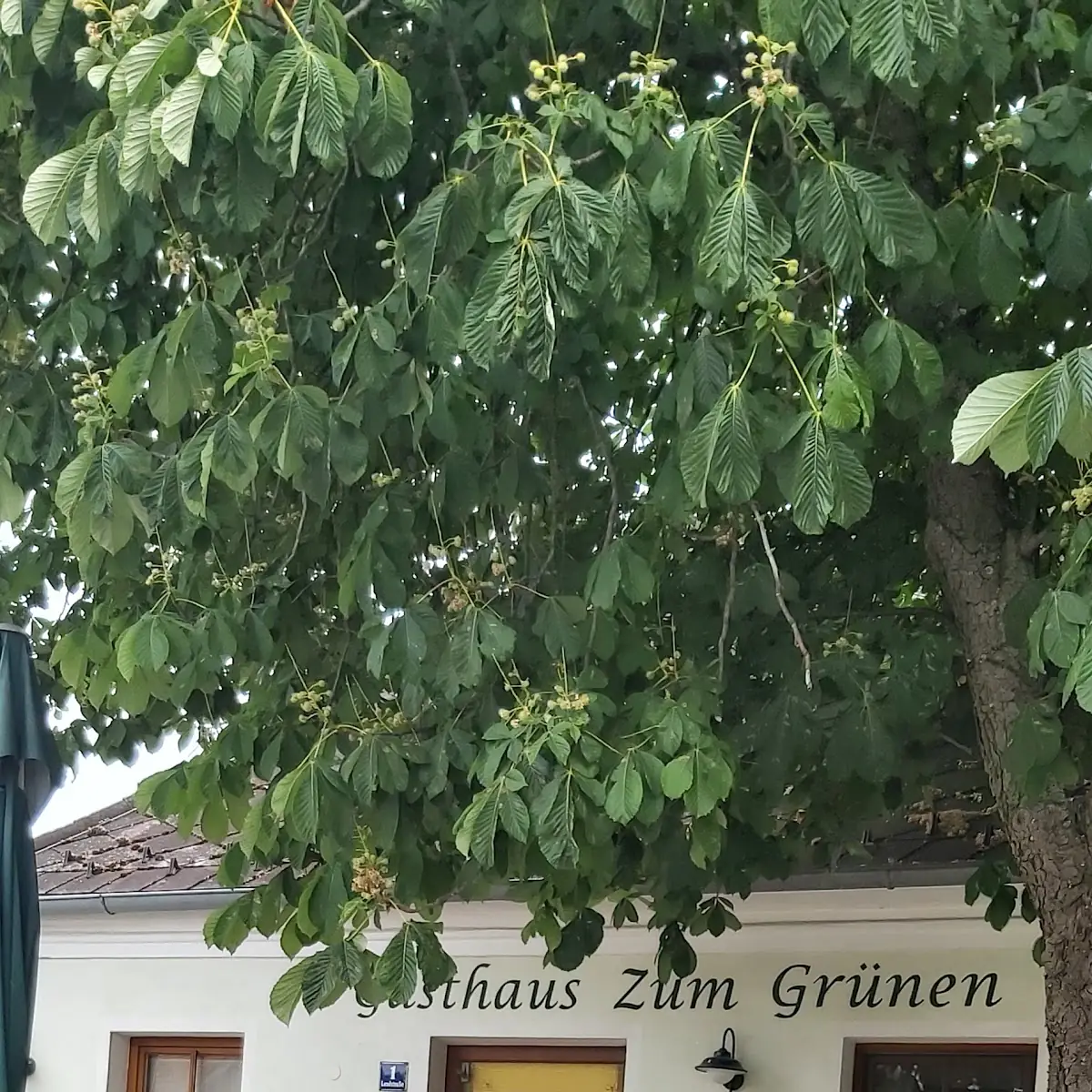 Atmosphäre photo 7