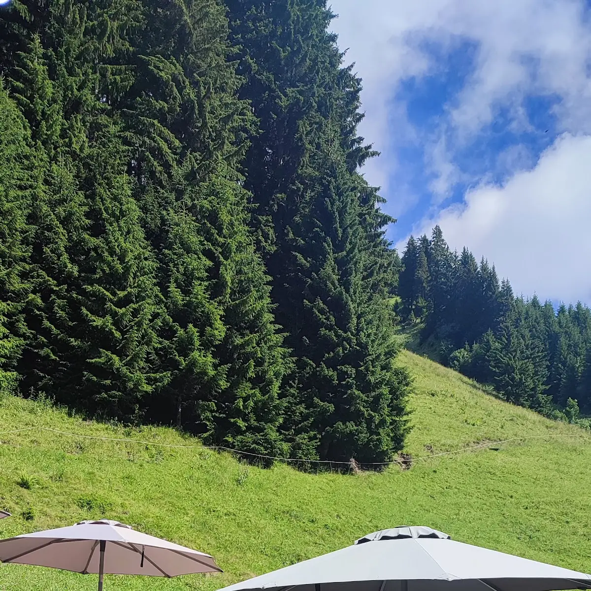 Atmosphäre photo 2