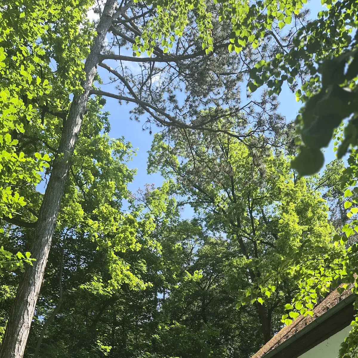 Atmosphäre photo 5