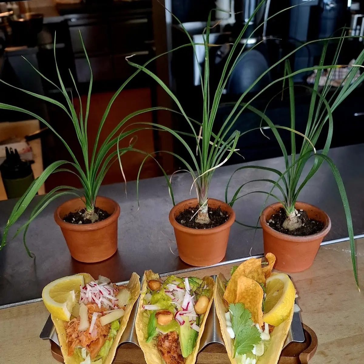 Essen und Trinken photo 1