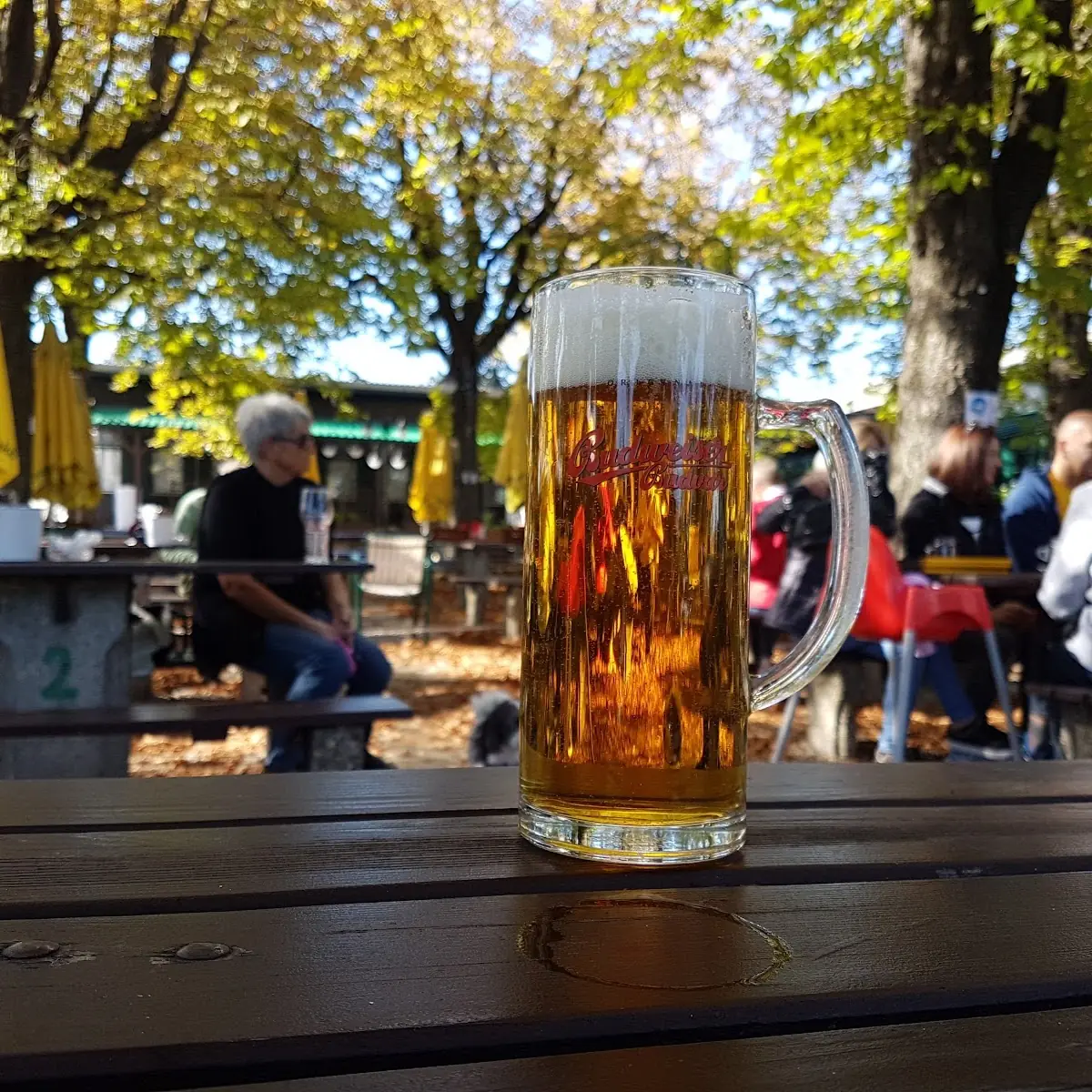 Essen und Trinken photo 3