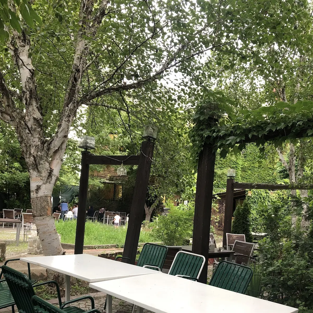 Atmosphäre photo 10