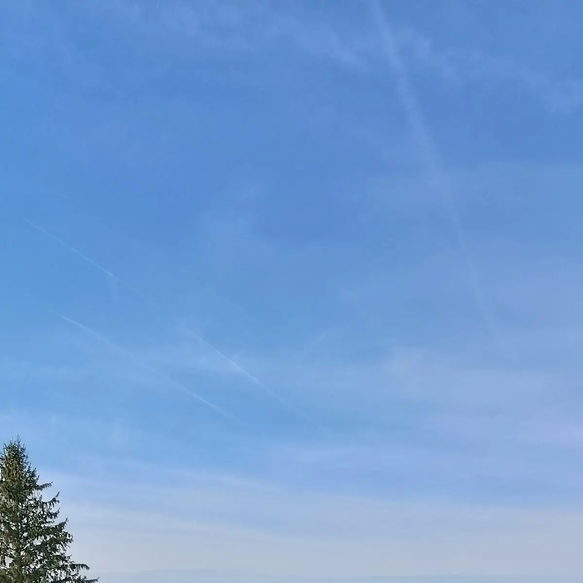Atmosphäre photo 5