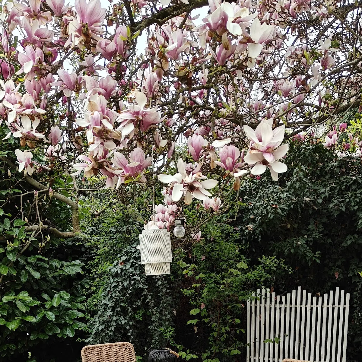 Atmosphäre photo 9