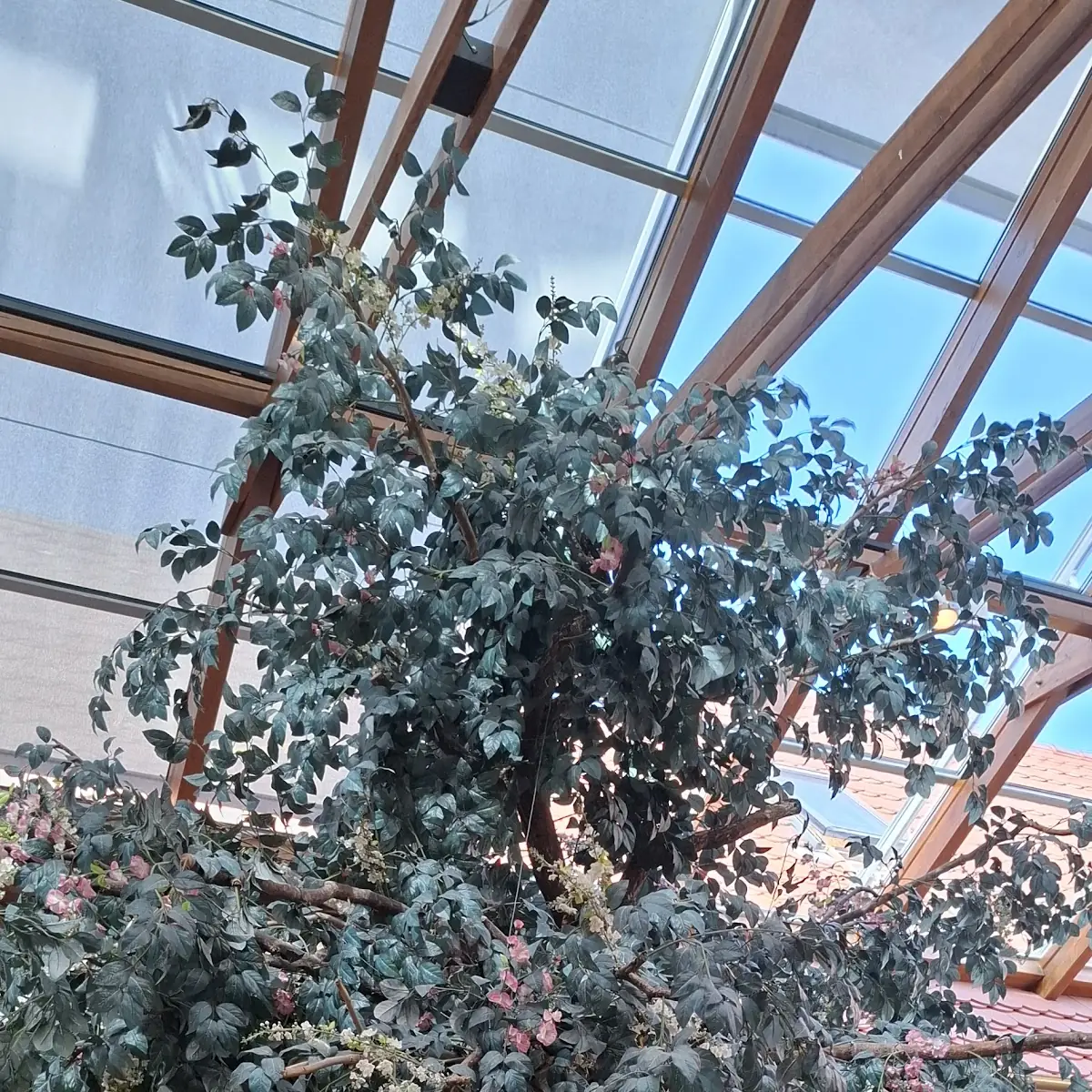 Atmosphäre photo 10