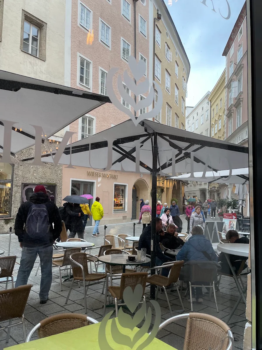 Cafe Lumia Titelbild