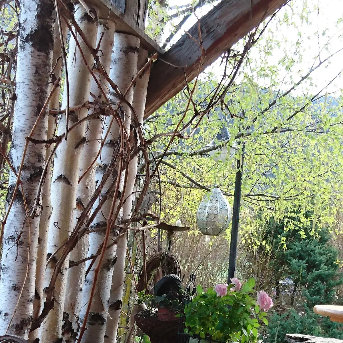 Atmosphäre photo 8