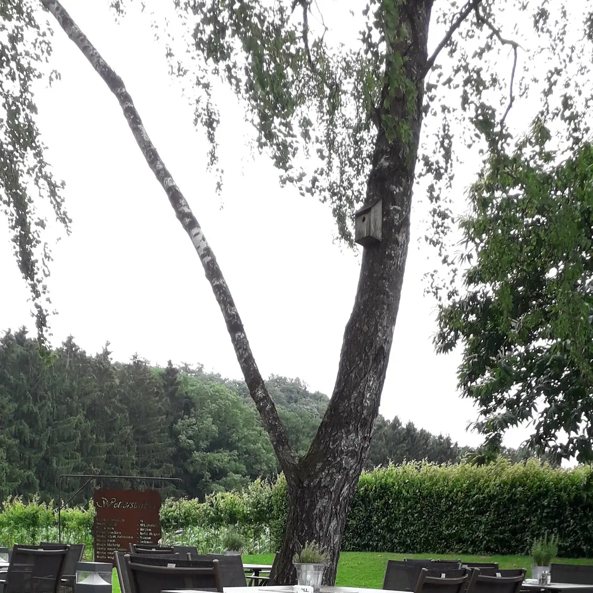 Atmosphäre photo 4