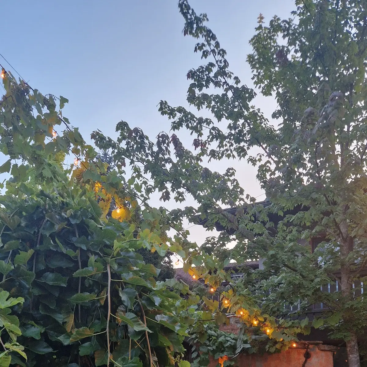 Atmosphäre photo 2