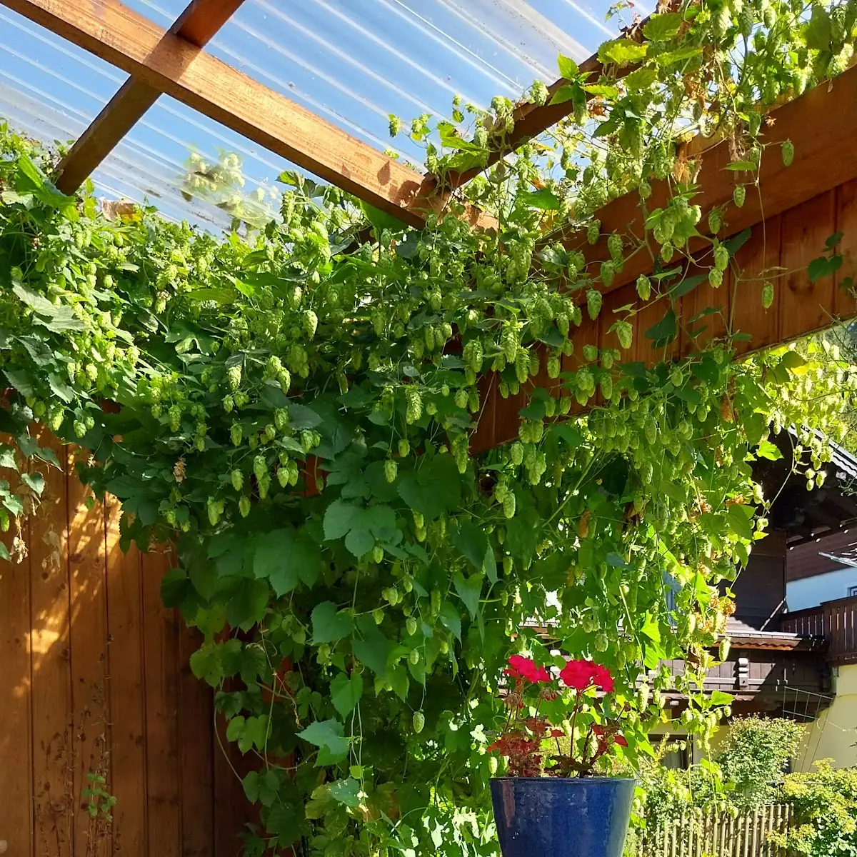 Atmosphäre photo 6