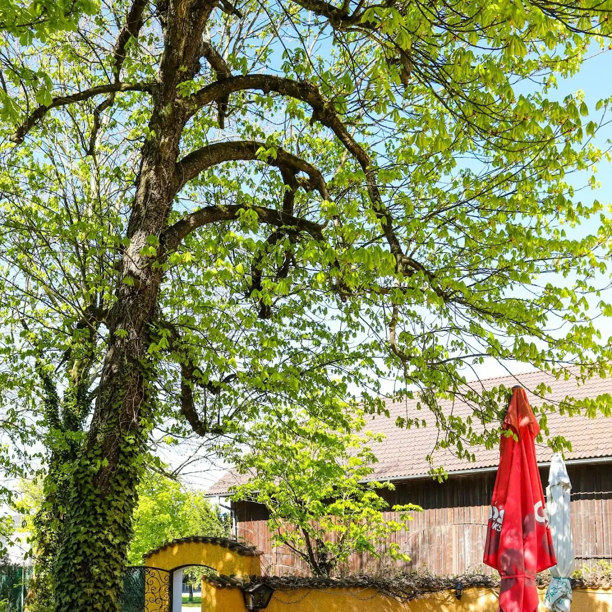 Atmosphäre, Gasthaus Wirt in Straß