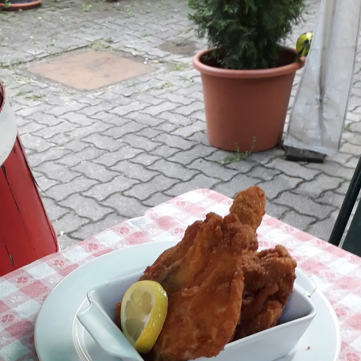 Essen und Trinken photo 3