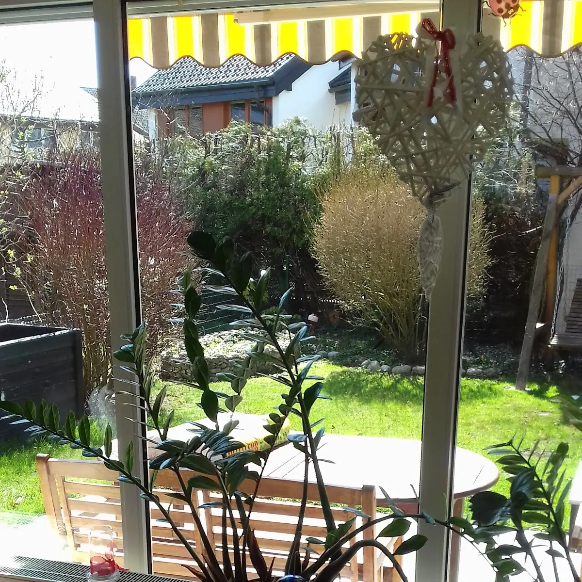 Atmosphäre photo 8