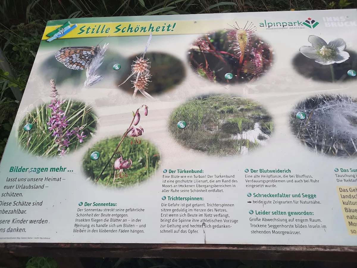 Speisekarte photo 8
