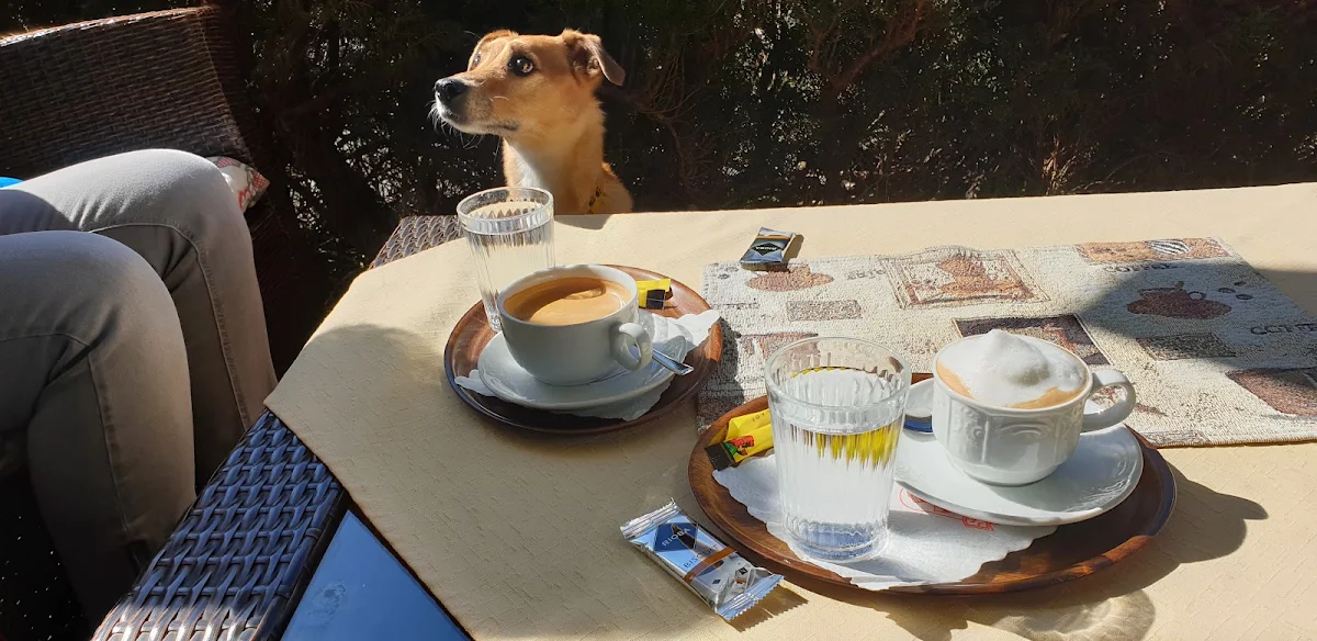 Essen und Trinken photo 8