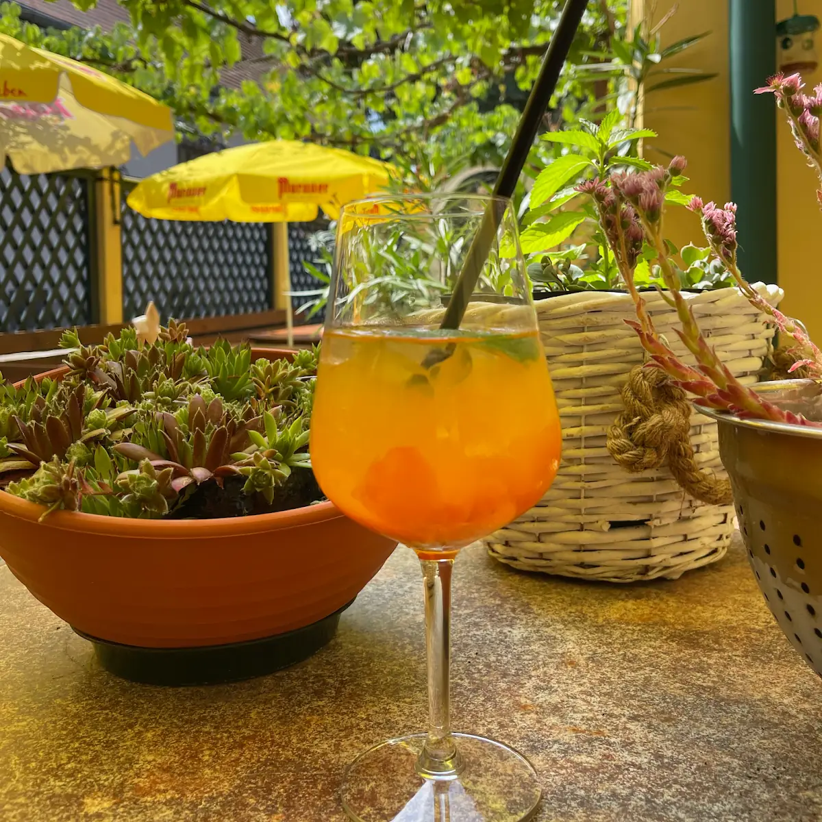 Essen und Trinken photo 1
