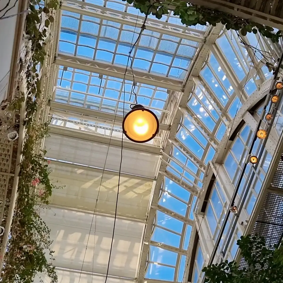 Atmosphäre photo 2