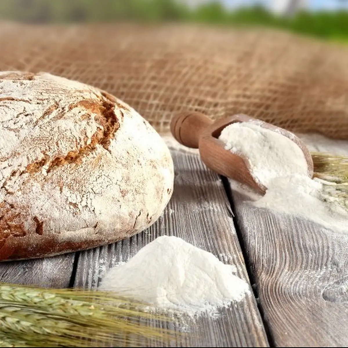 Bäckerei Grimm Titelbild