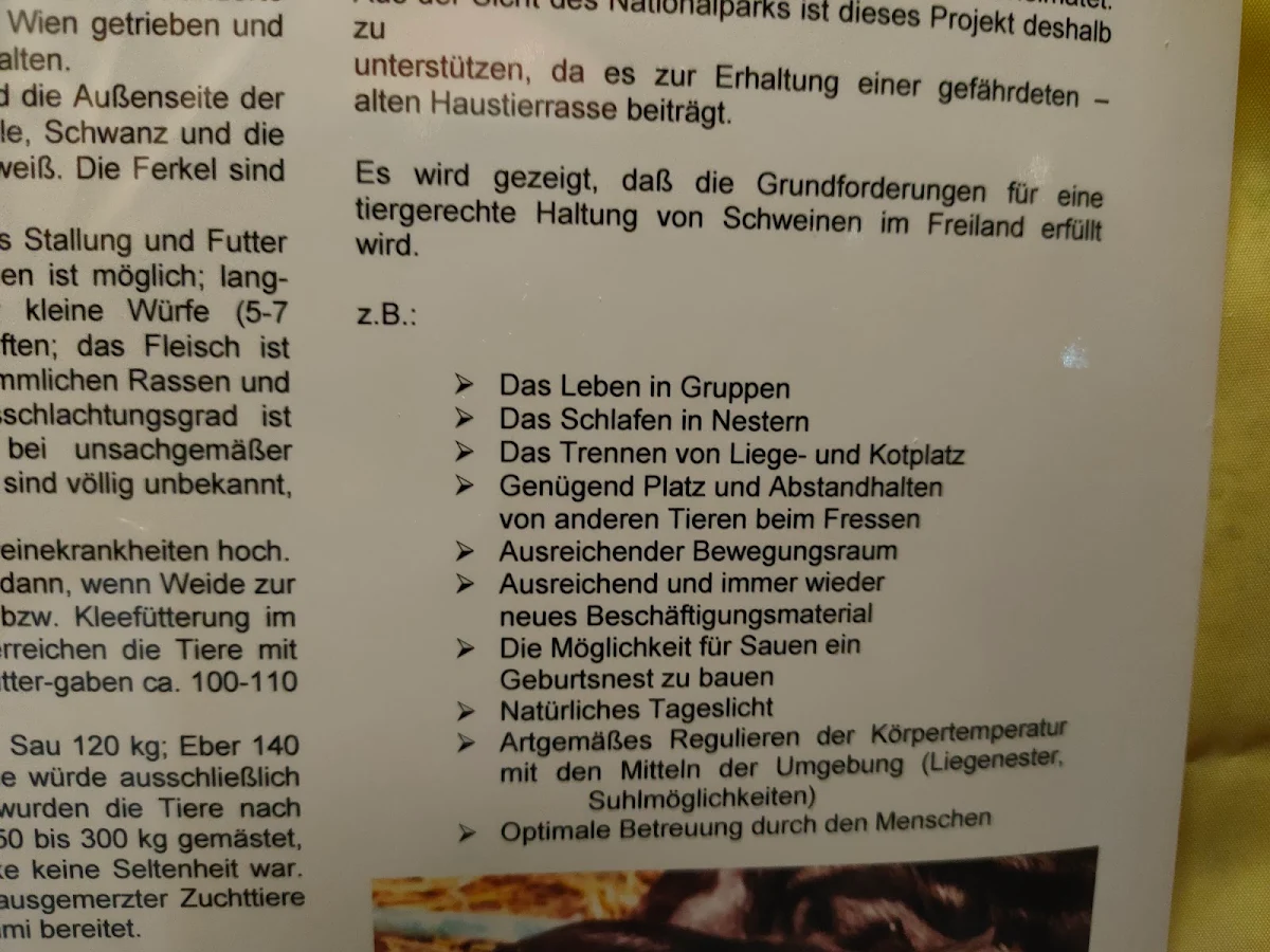 Speisekarte photo 7