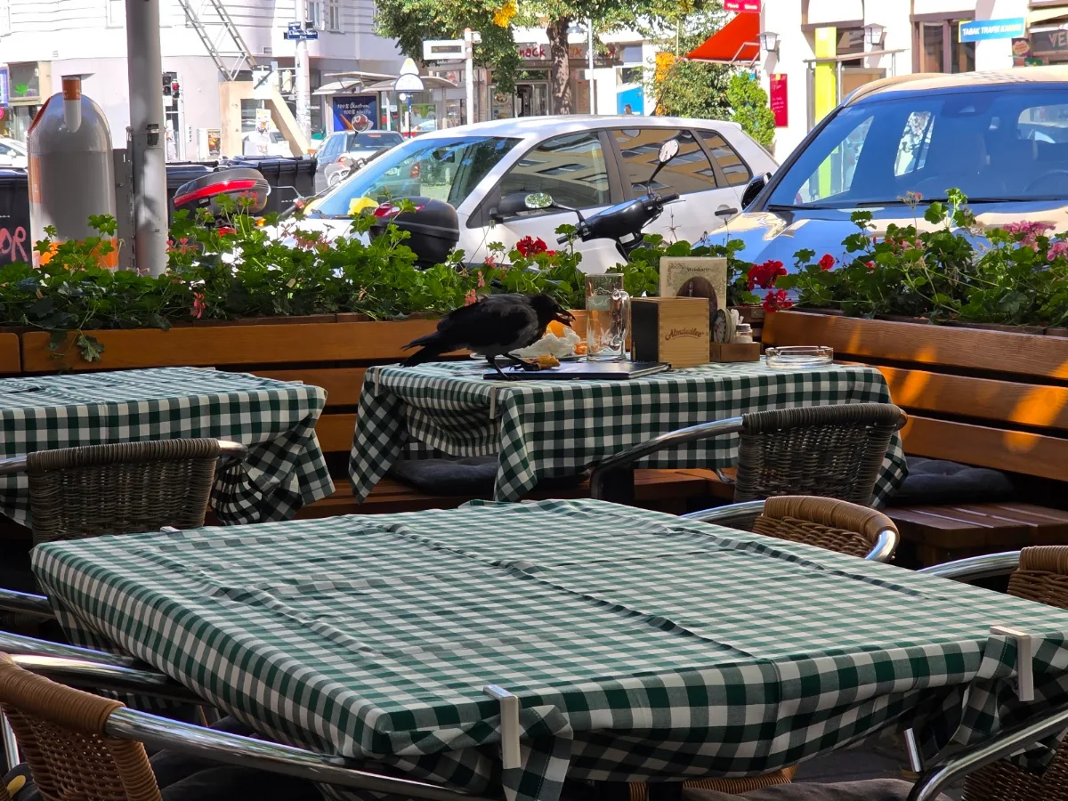 Atmosphäre photo 5