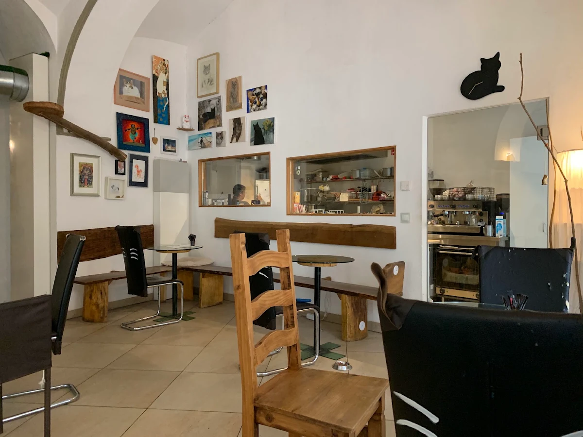 Cafe Neko Titelbild