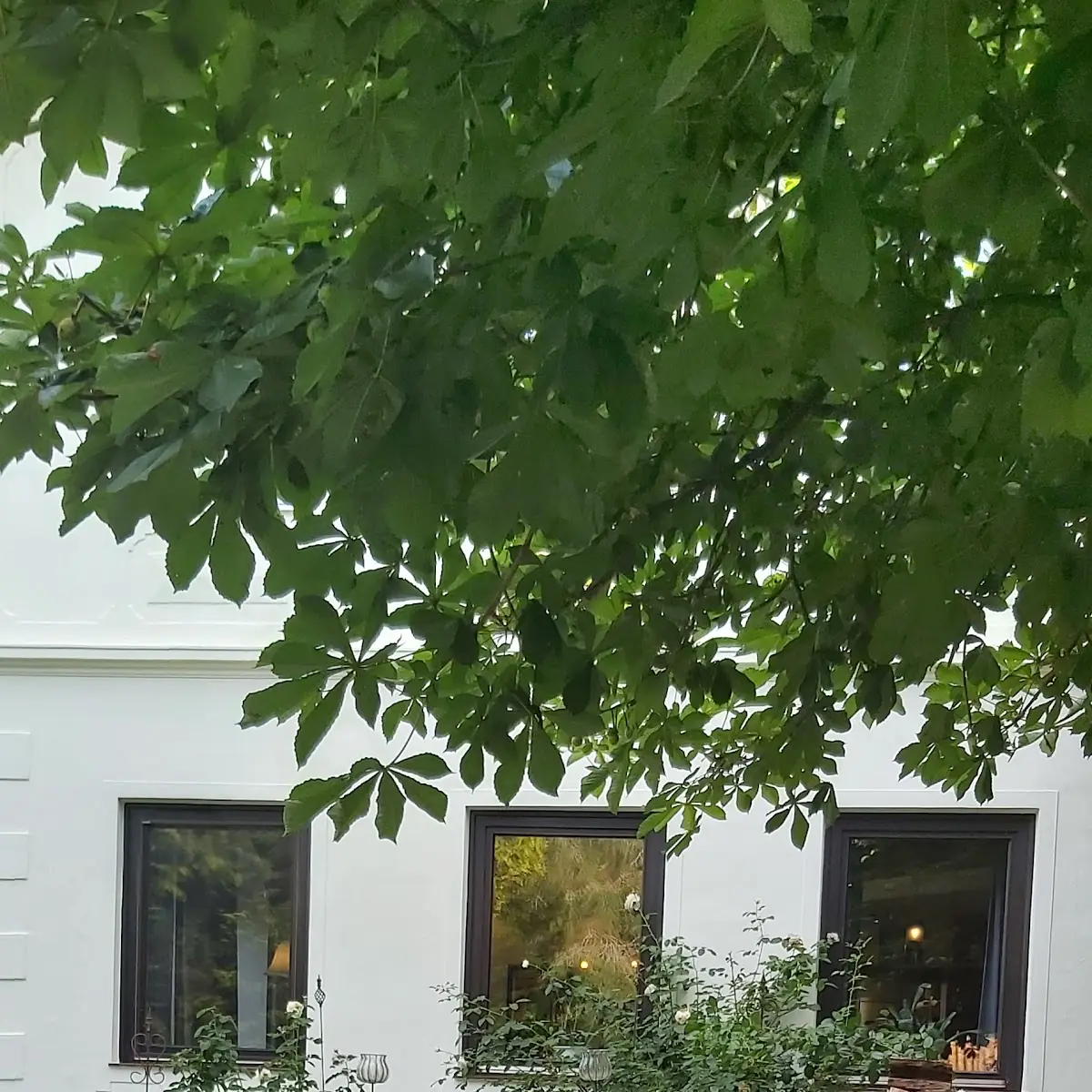 Atmosphäre photo 2