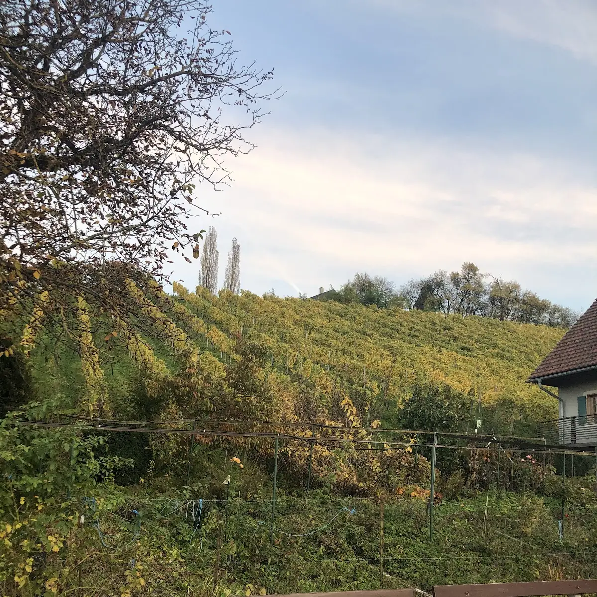 Atmosphäre photo 8