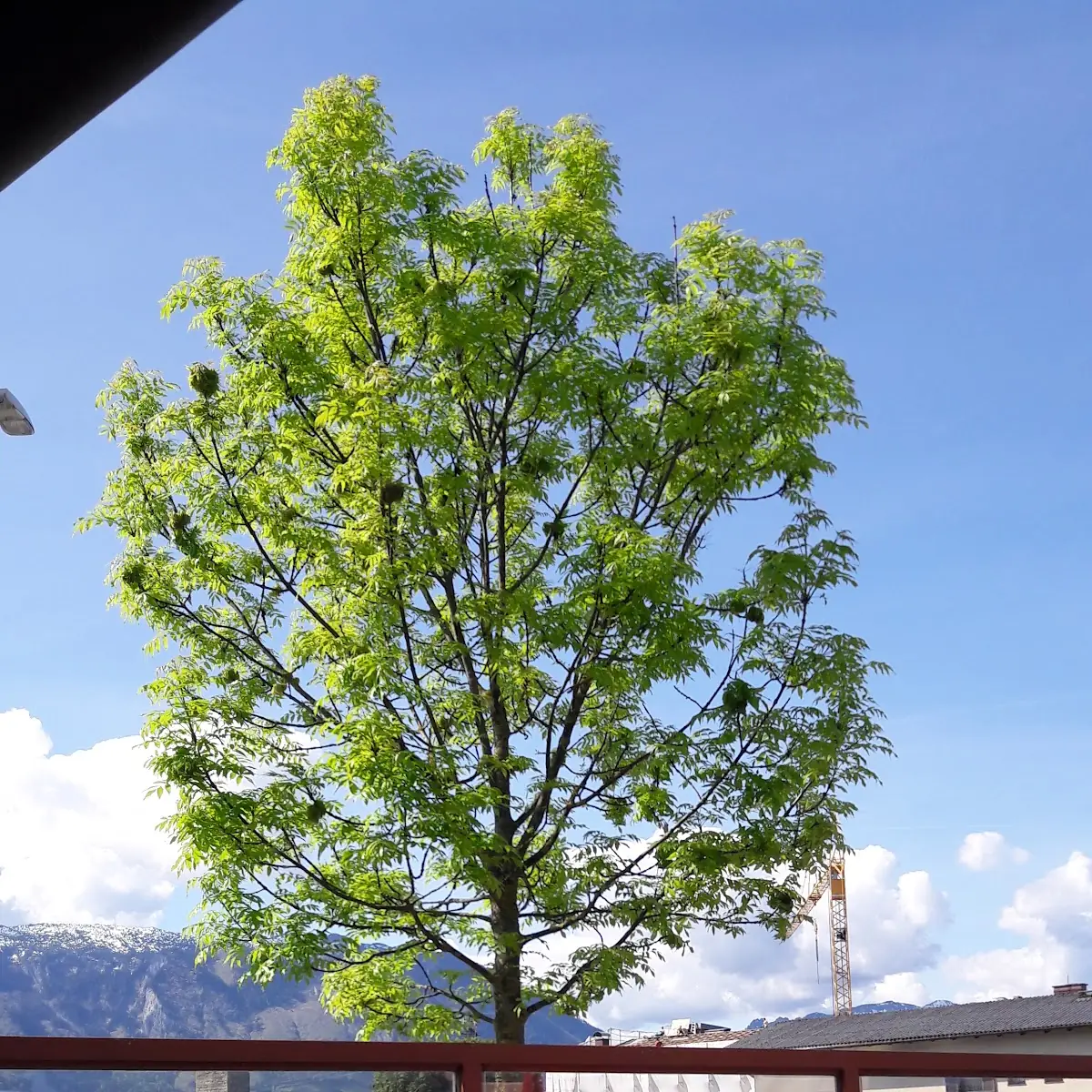 Atmosphäre photo 4