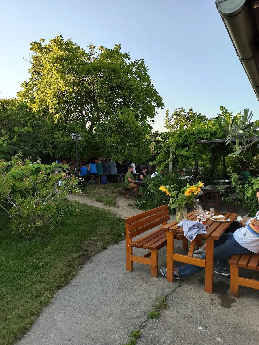 Weingut Zawodsky Titelbild
