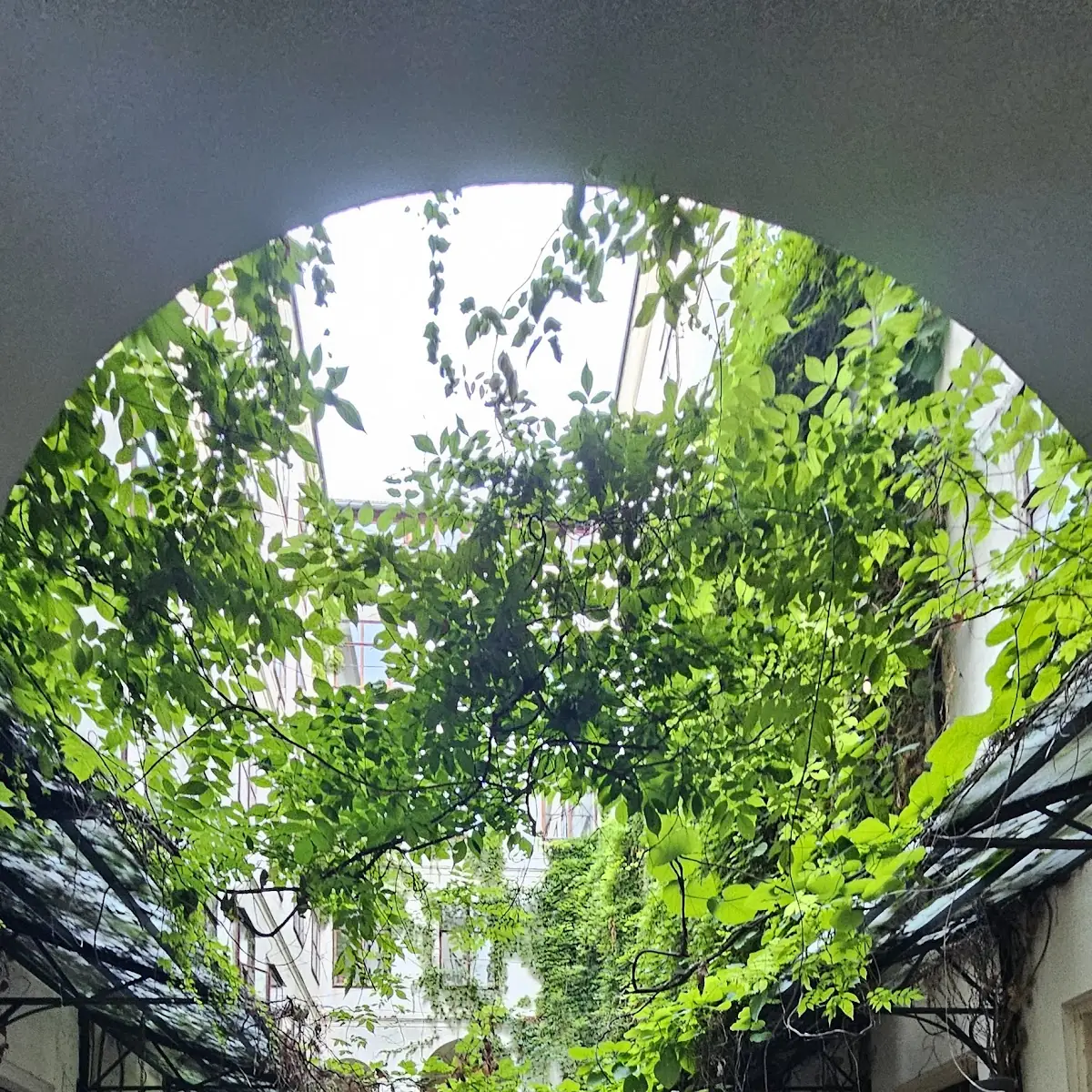 Atmosphäre photo 2