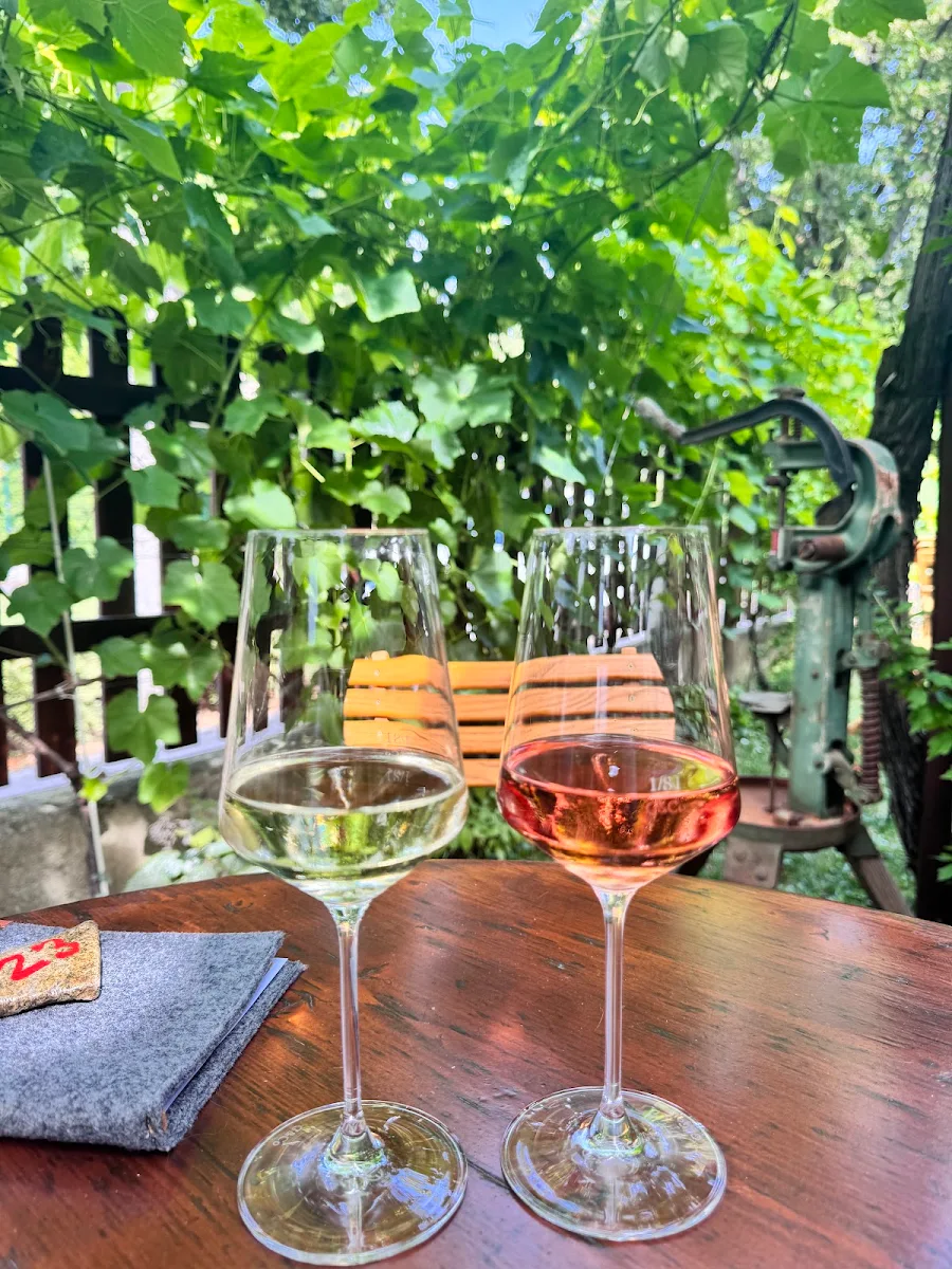 Essen und Trinken, Weinbau Fischer-Kügerl