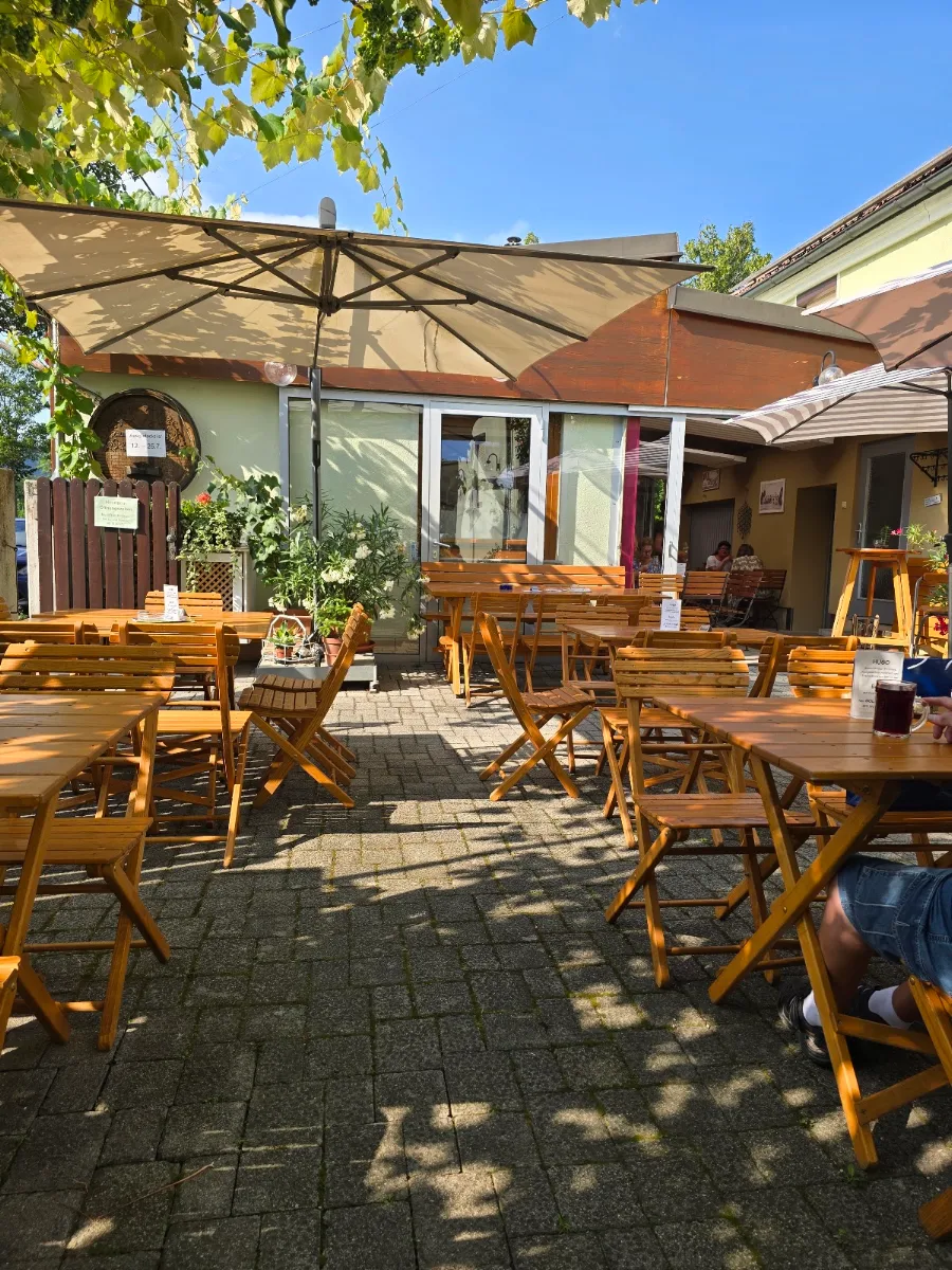 Atmosphäre, Weinbau Fischer-Kügerl